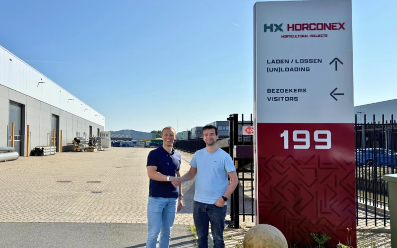 Horconex